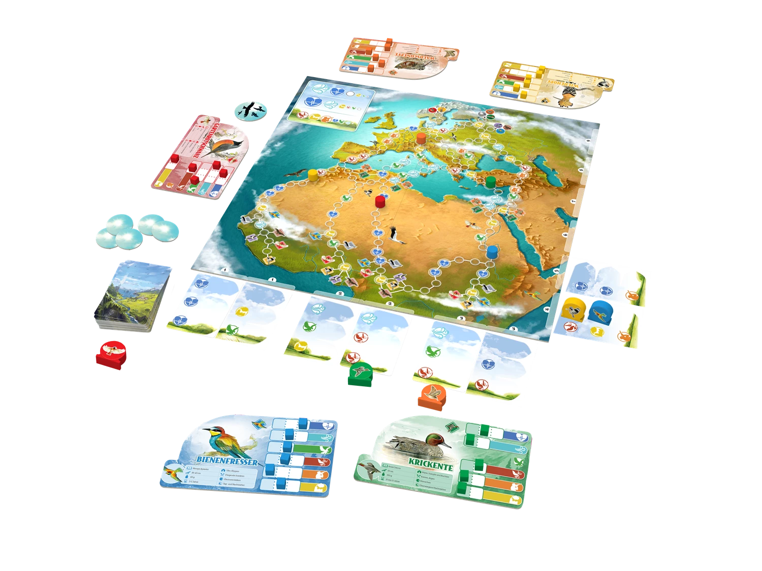 https://www.interplay.swiss/images/carletto/646042/646042_XL_6.webp
